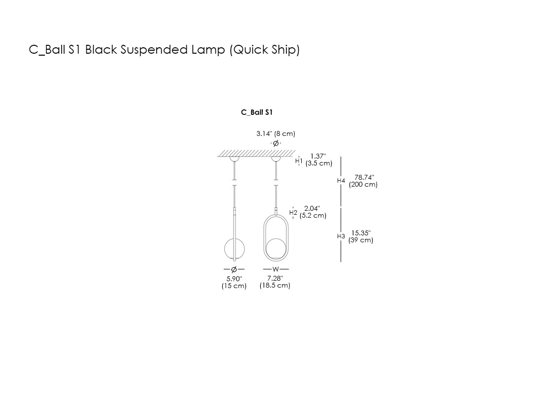 C_Ball S1 Black Suspended Lamp (Quick Ship)