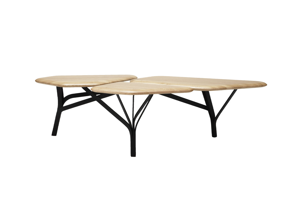 Borghese Coffee Table