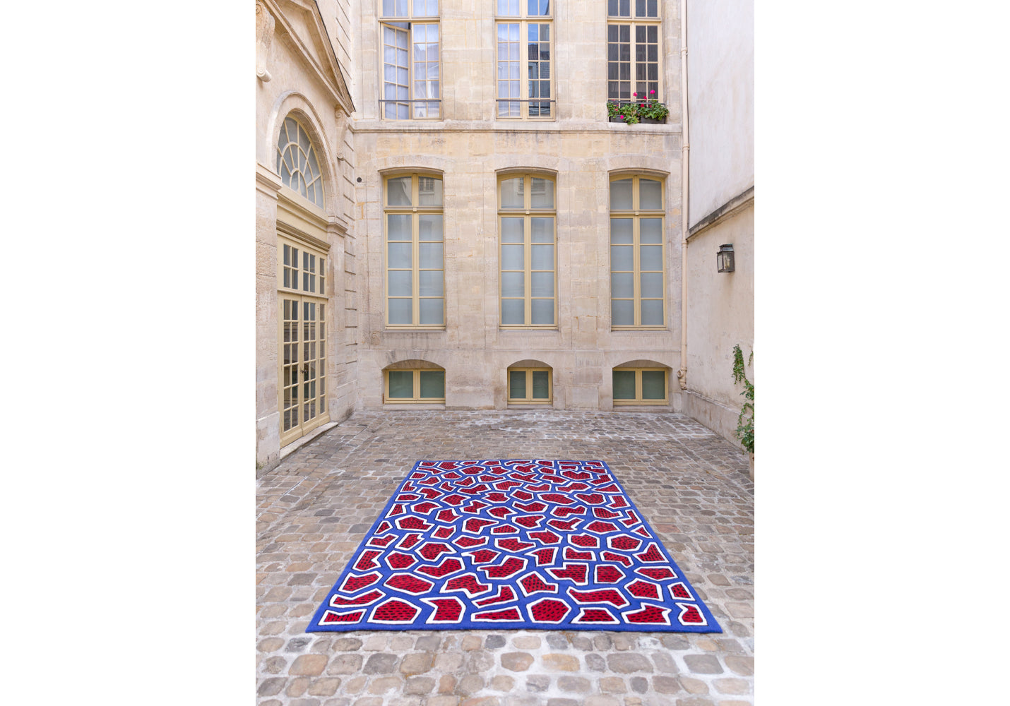 France Rug