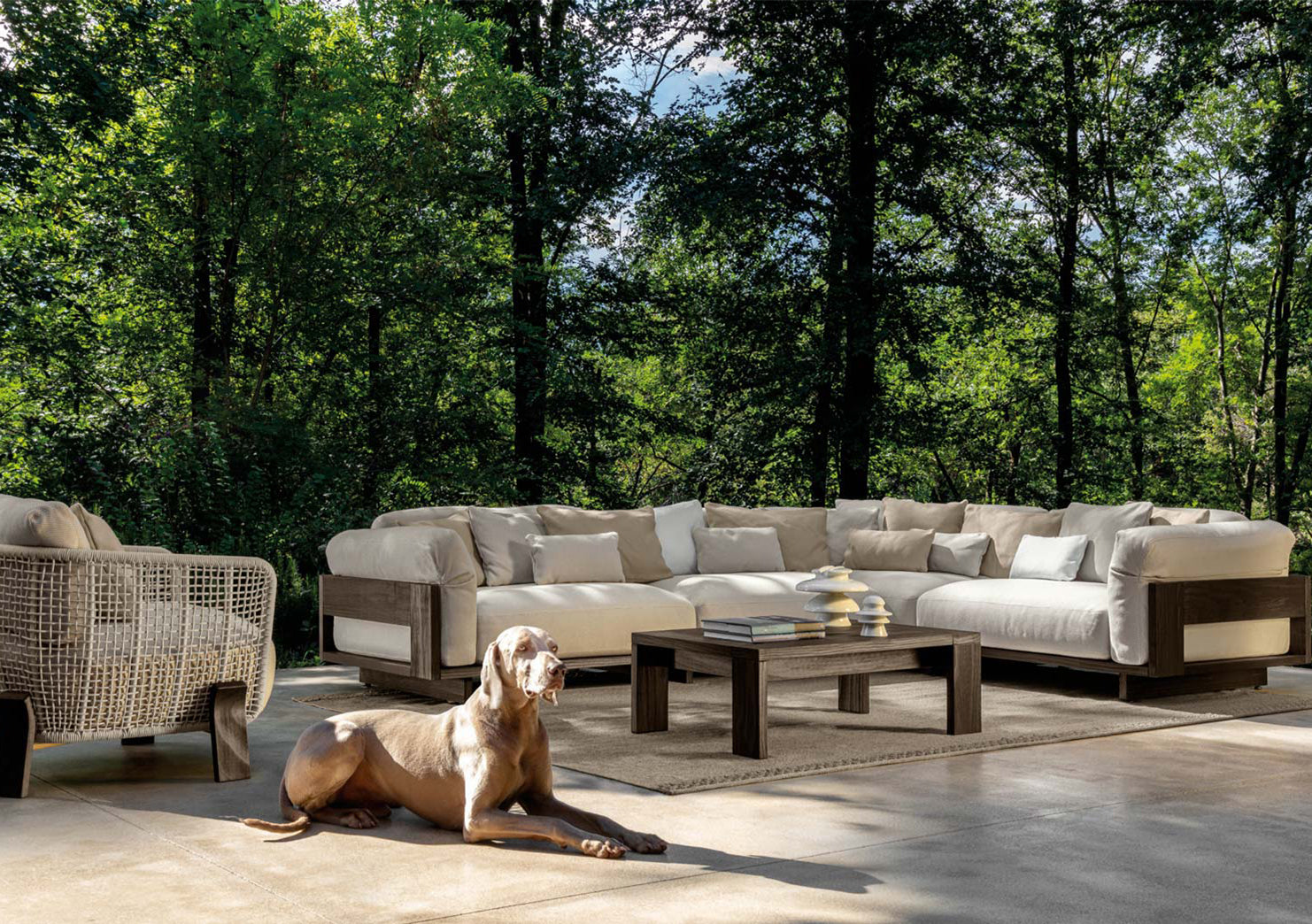 Argo//Wood Collection Pillows