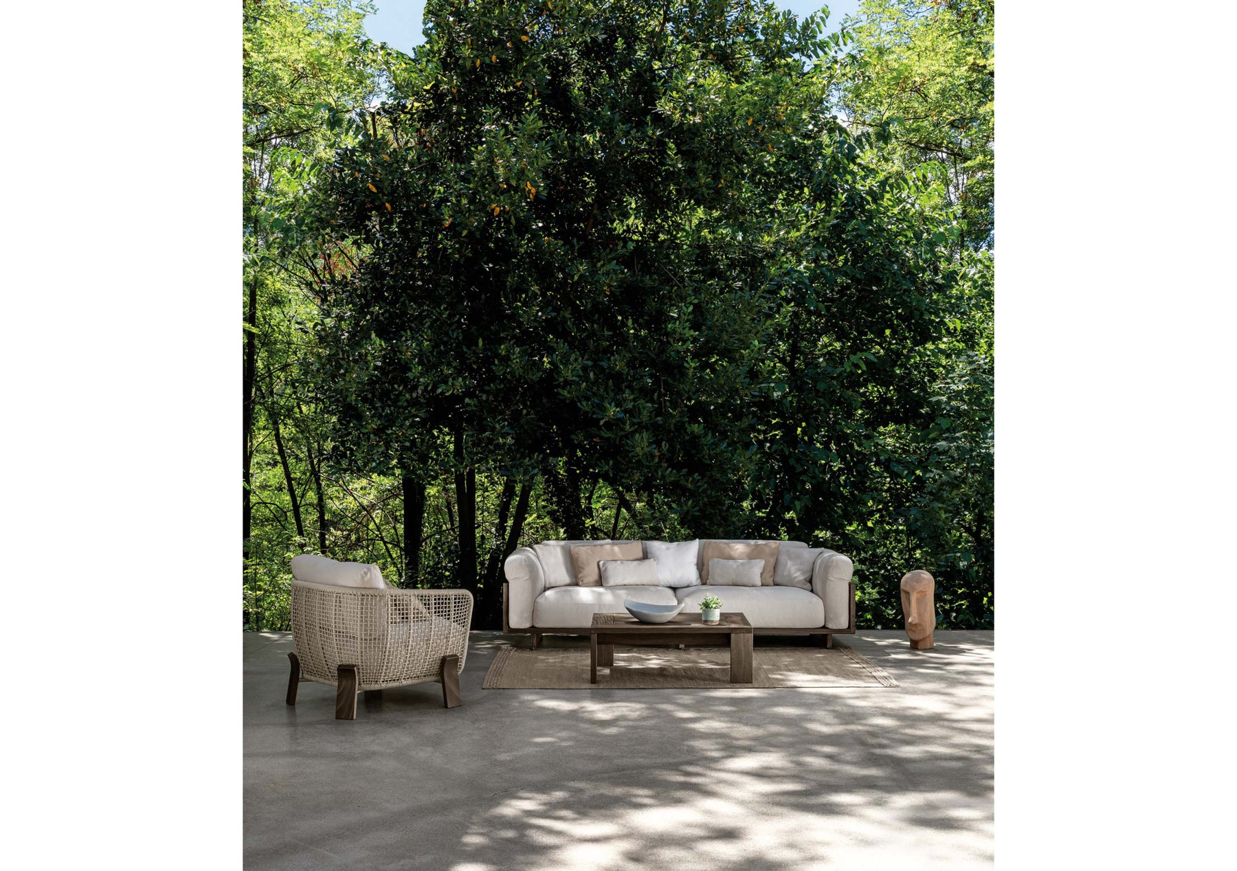 Argo//Wood Collection Pillows