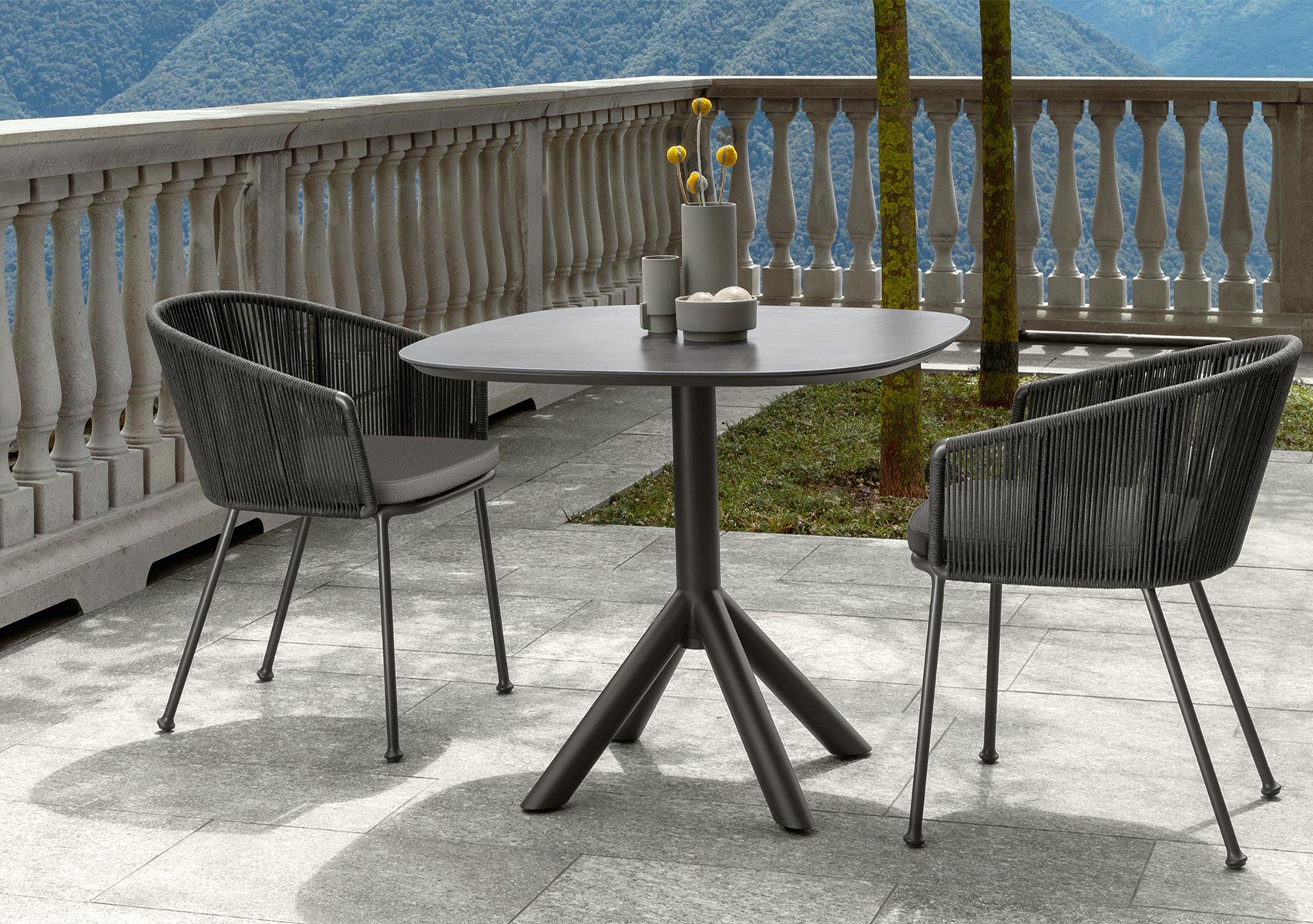 Coral Dining Chair