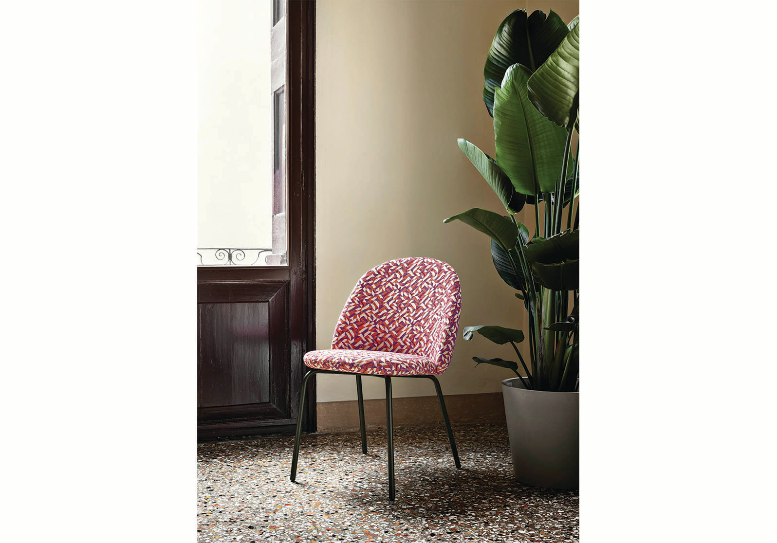 Iola Chair