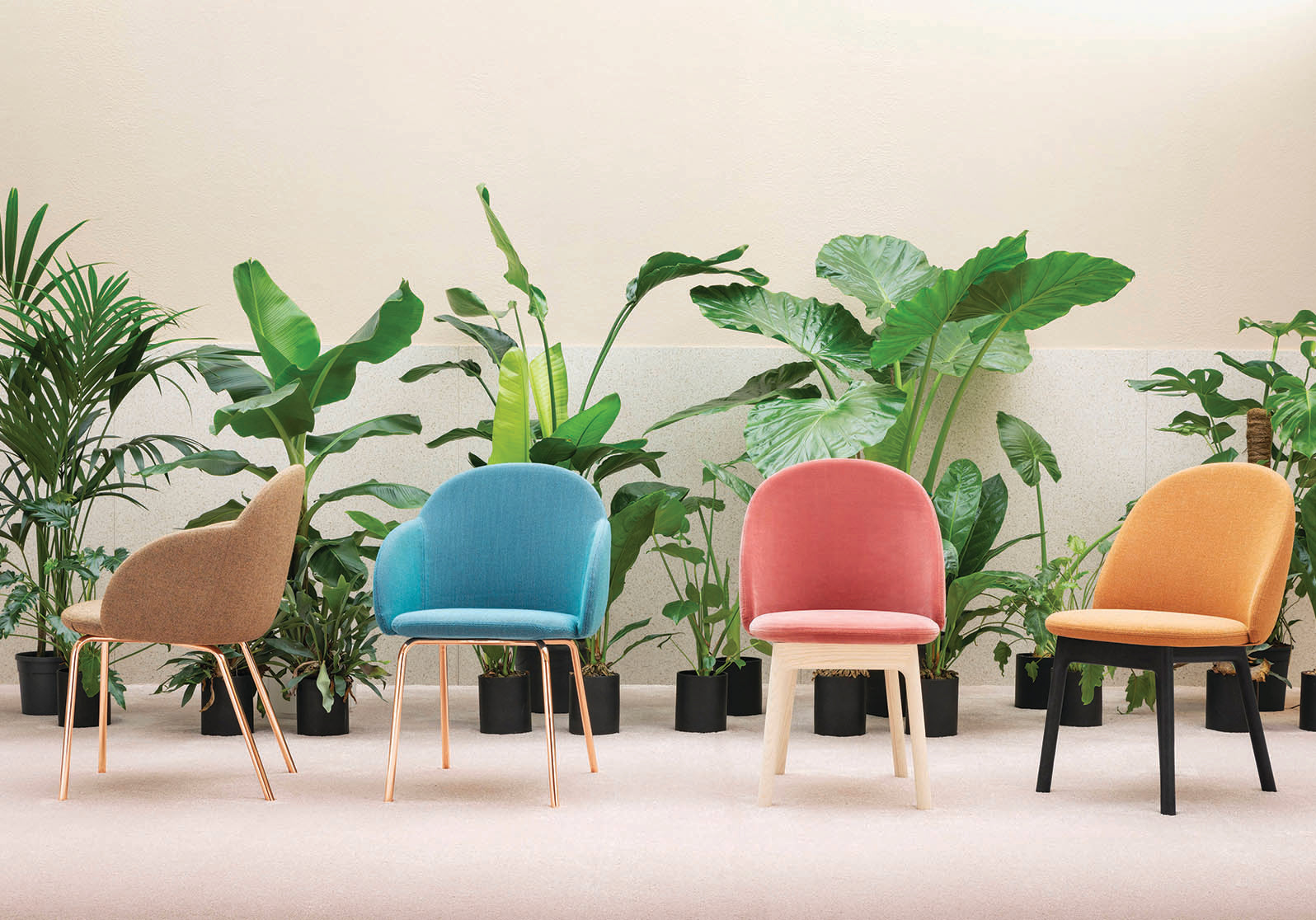 Iola Chair