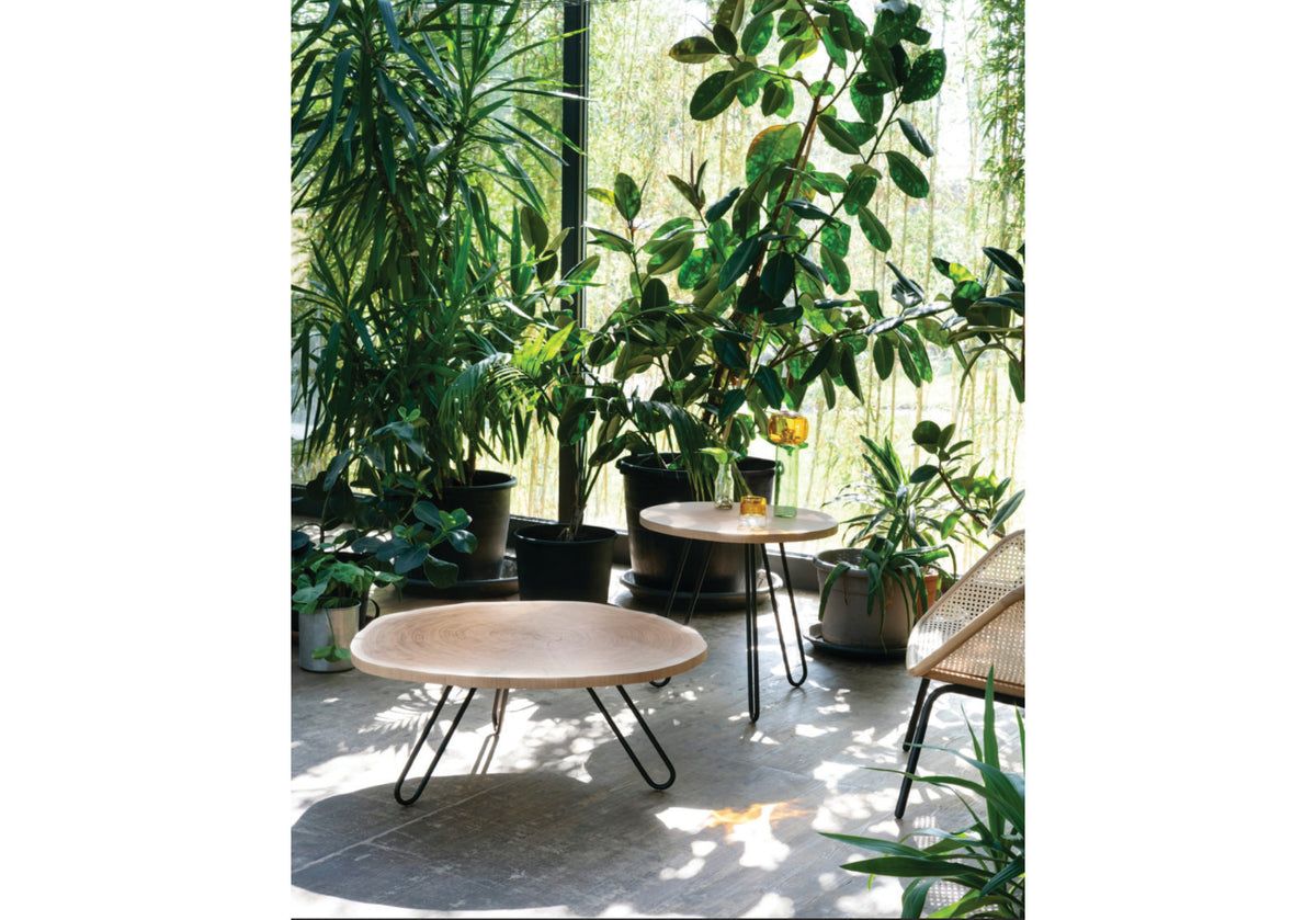 Porcino Coffee & Side Tables