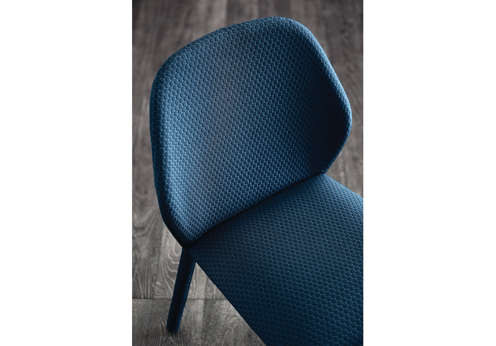 Dumbo Dining Chair