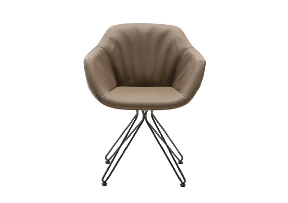 Carol Modern Armchair
