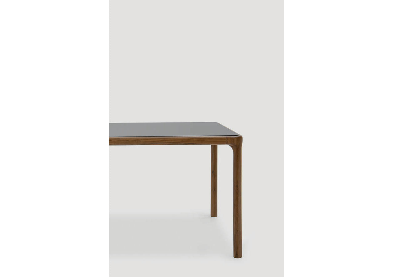Inari Rectangular Dining Table D100
