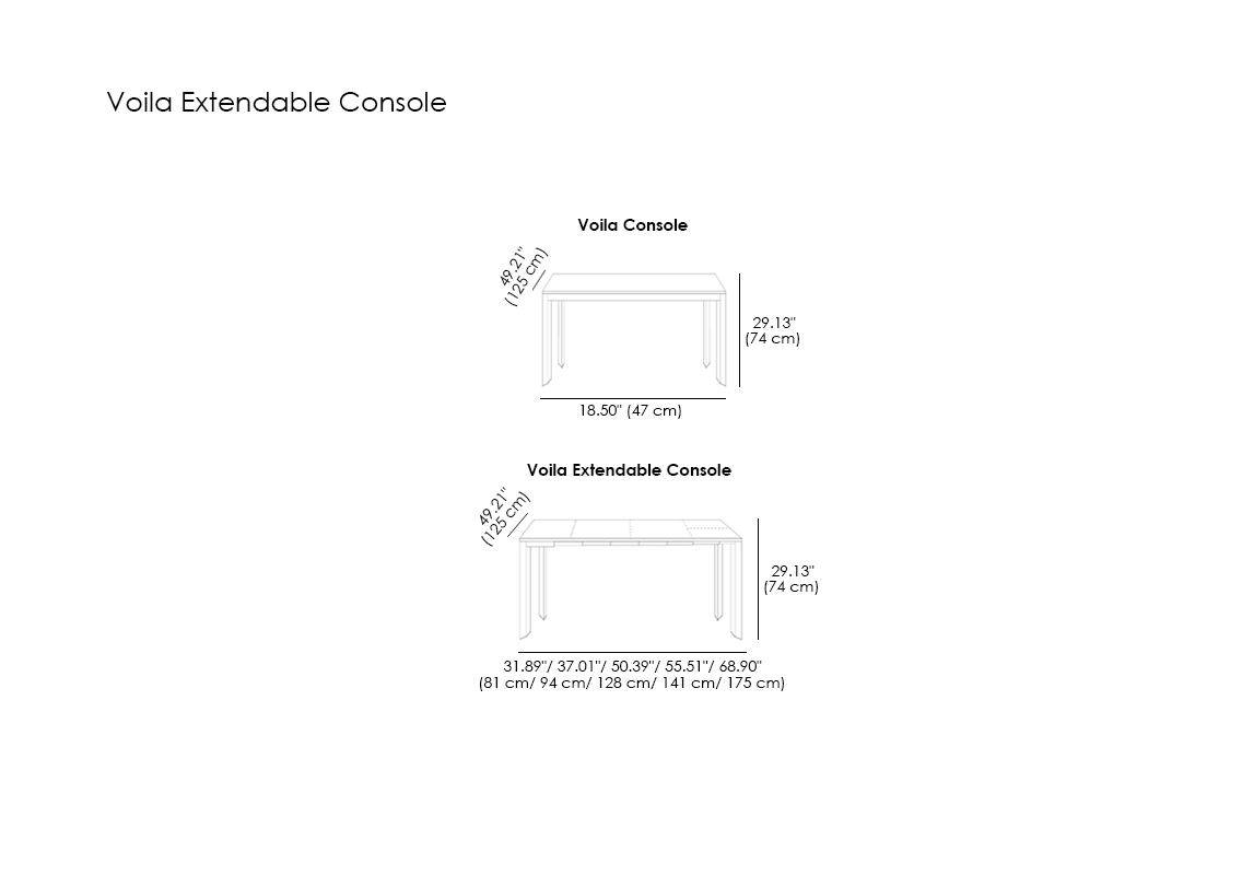 Voila Extendable Console