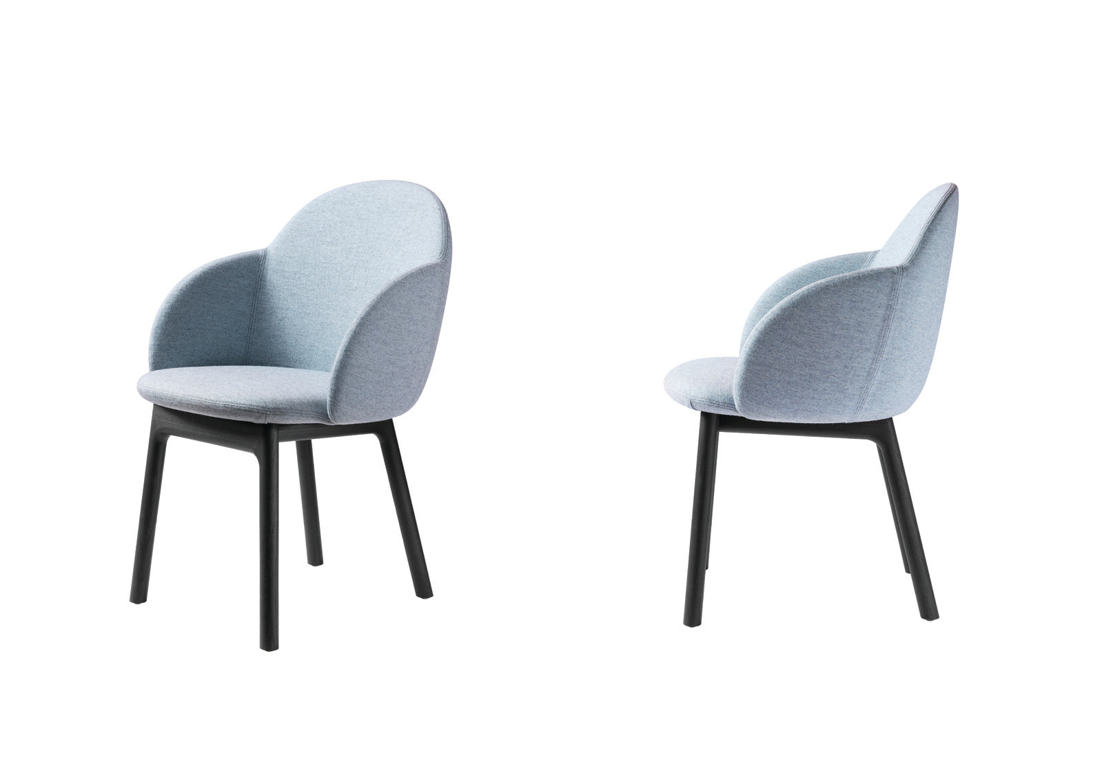 Iola Armchair