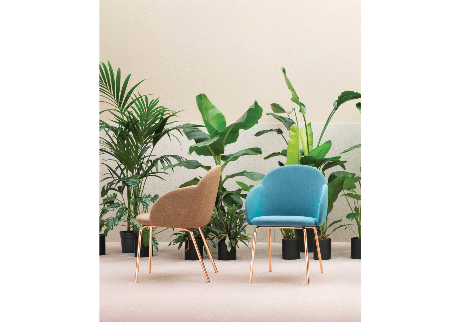 Iola Armchair