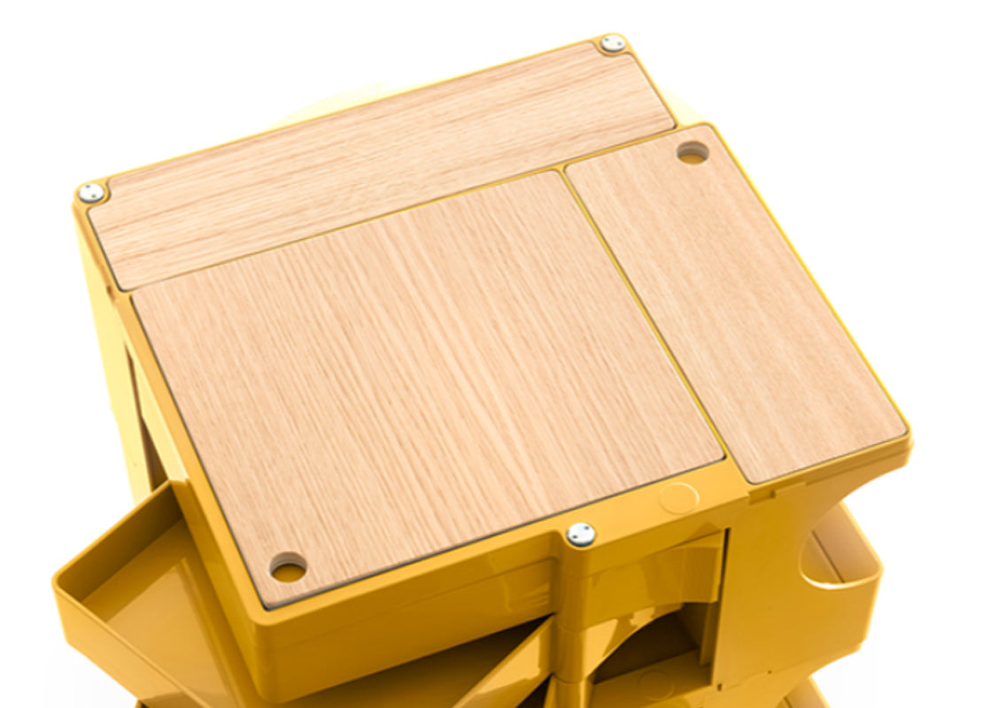 Boby Storage Container M