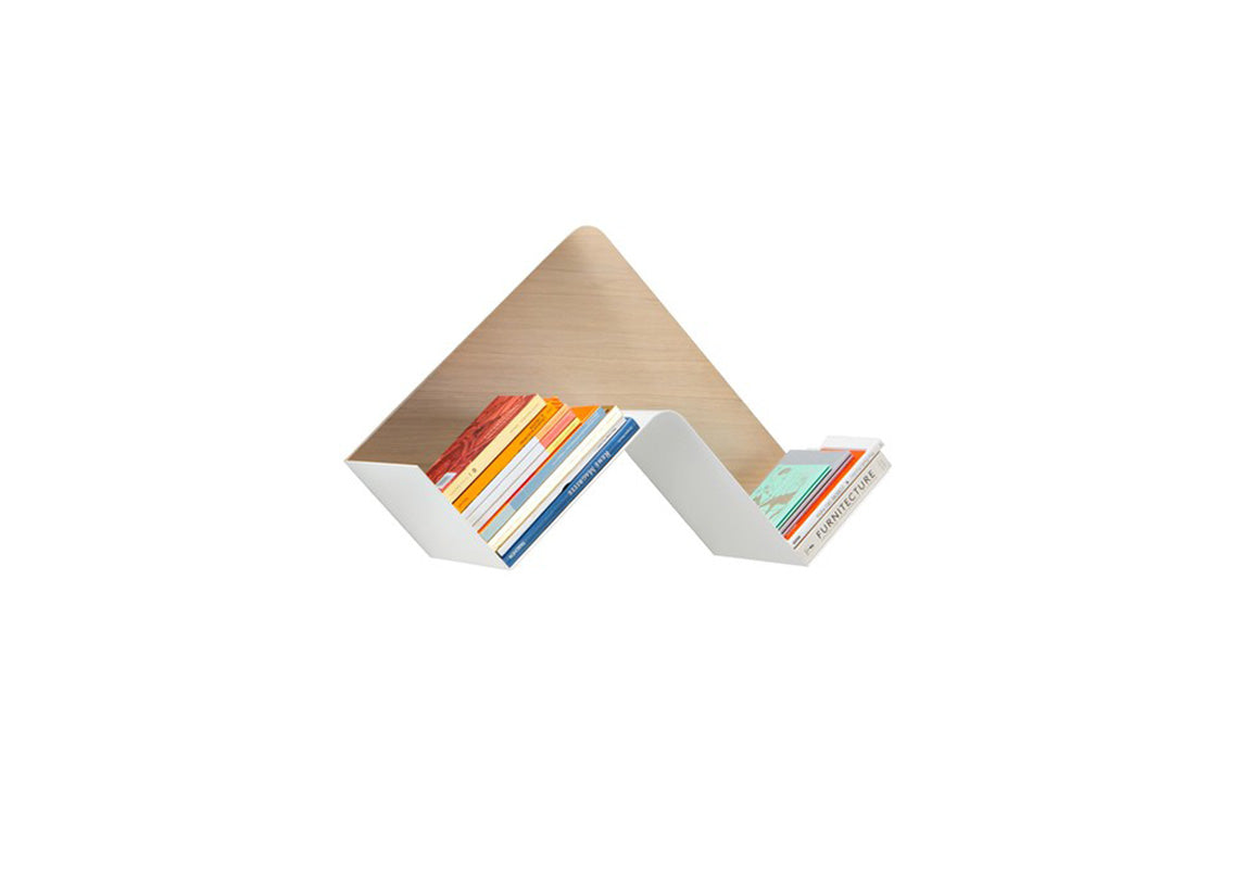 Fishbone Wall Shelf / Wall Art