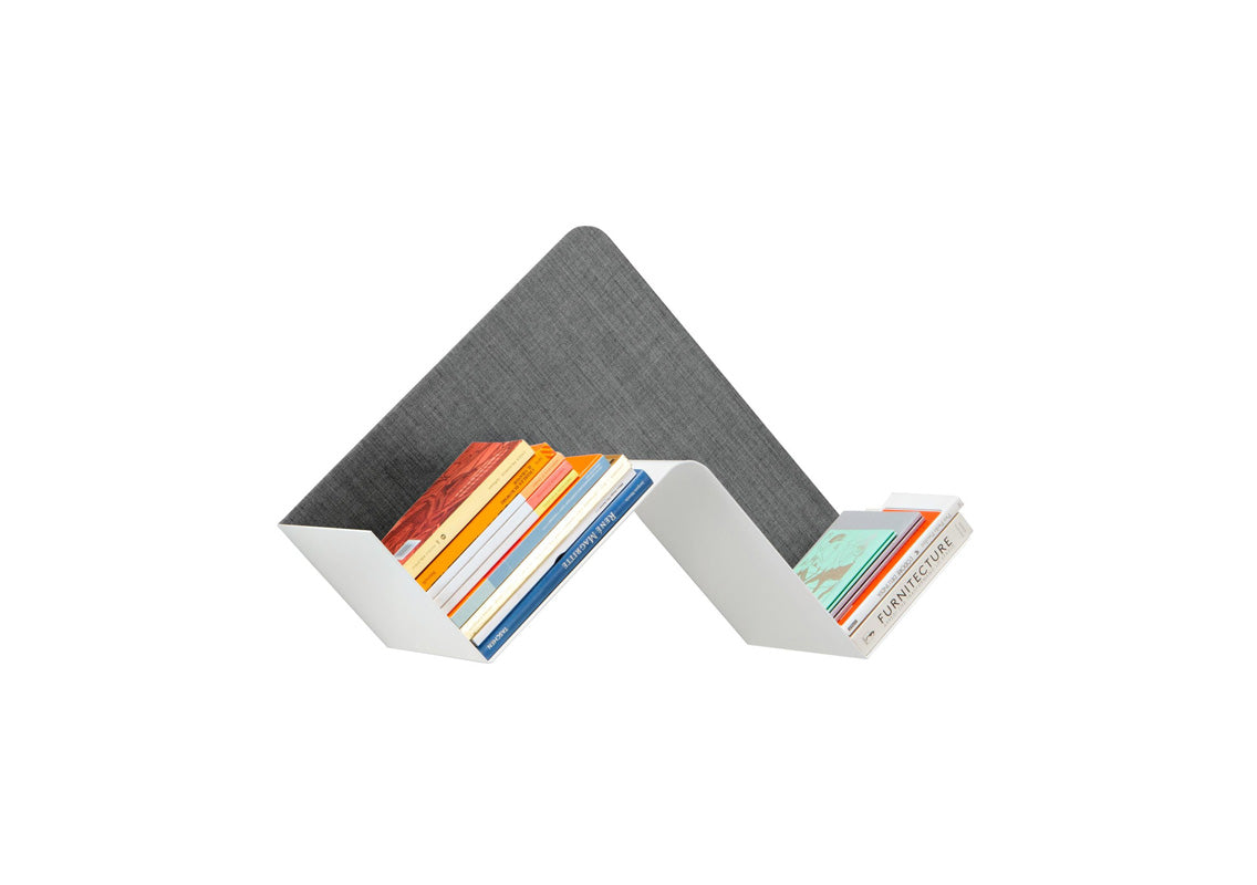Fishbone Wall Shelf / Wall Art