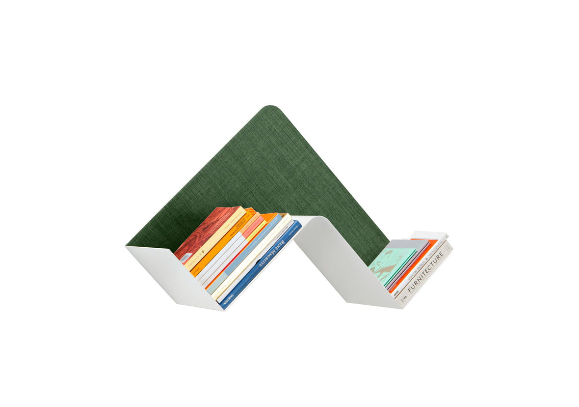 Fishbone Wall Shelf / Wall Art