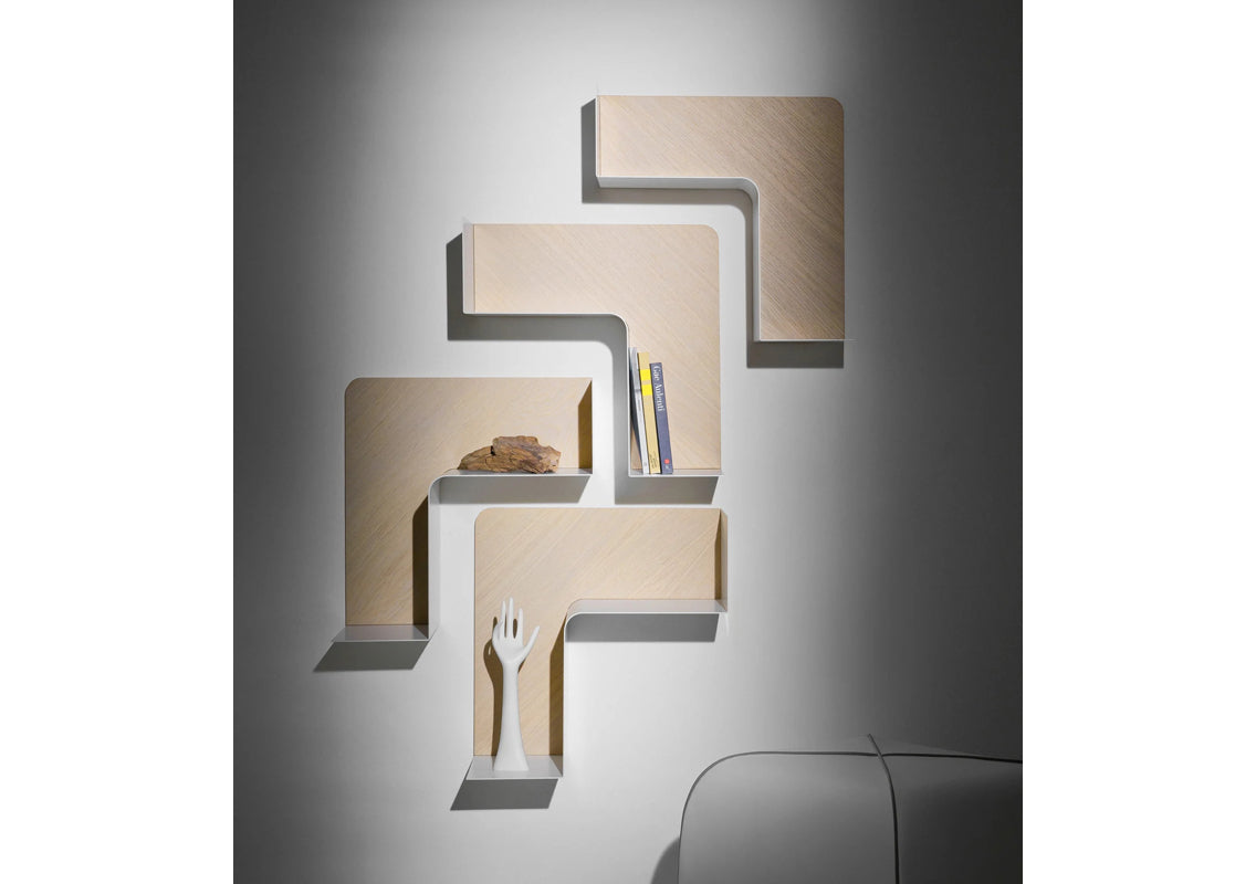 Fishbone Wall Shelf / Wall Art
