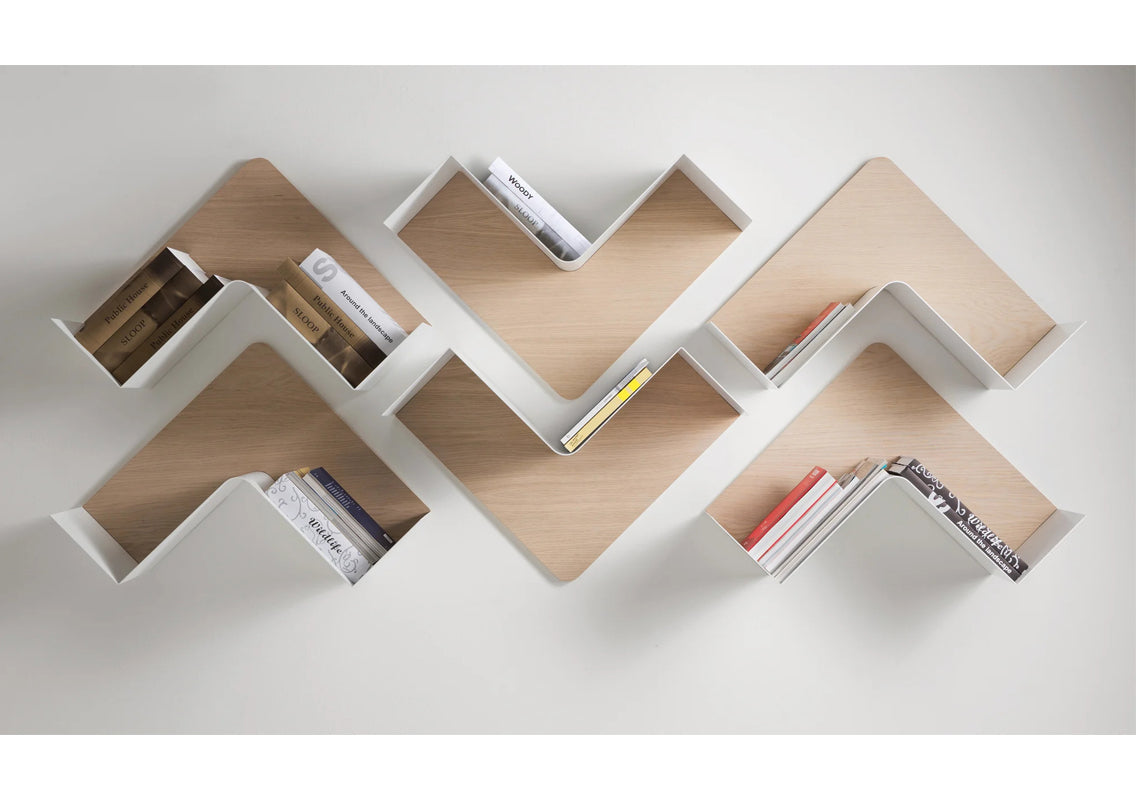 Fishbone Wall Shelf / Wall Art