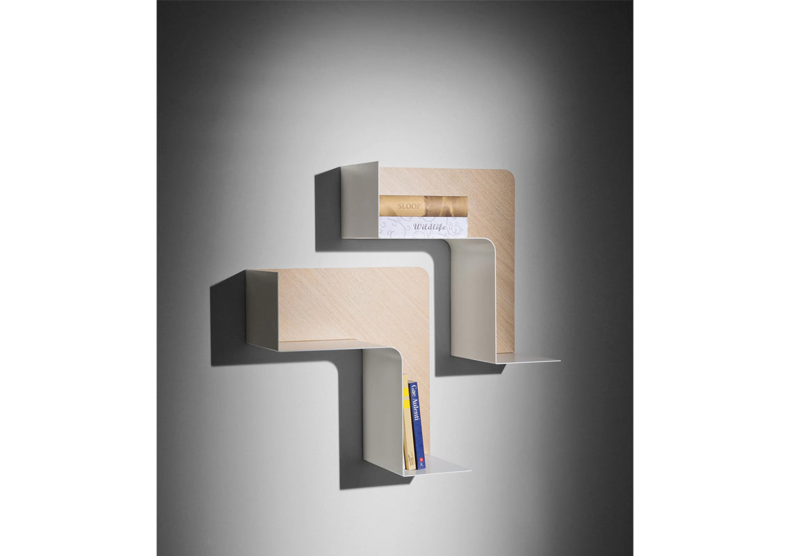 Fishbone Wall Shelf / Wall Art