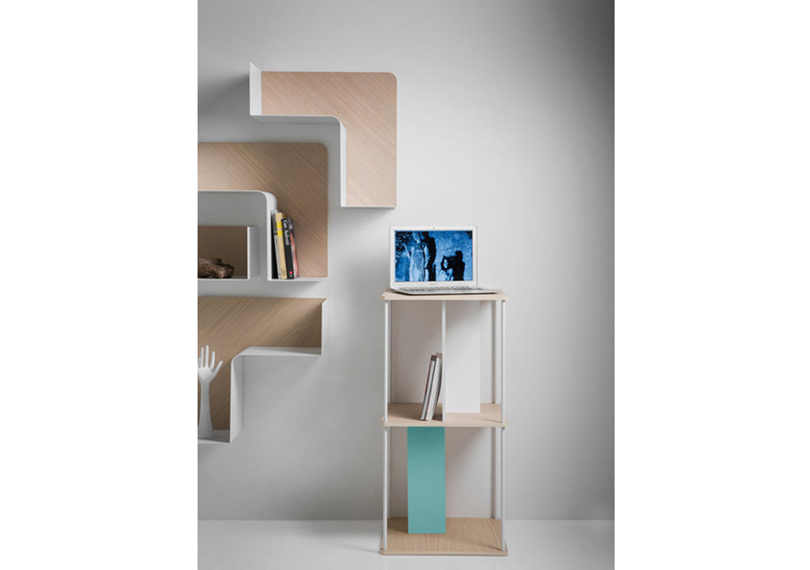 Fishbone Wall Shelf / Wall Art