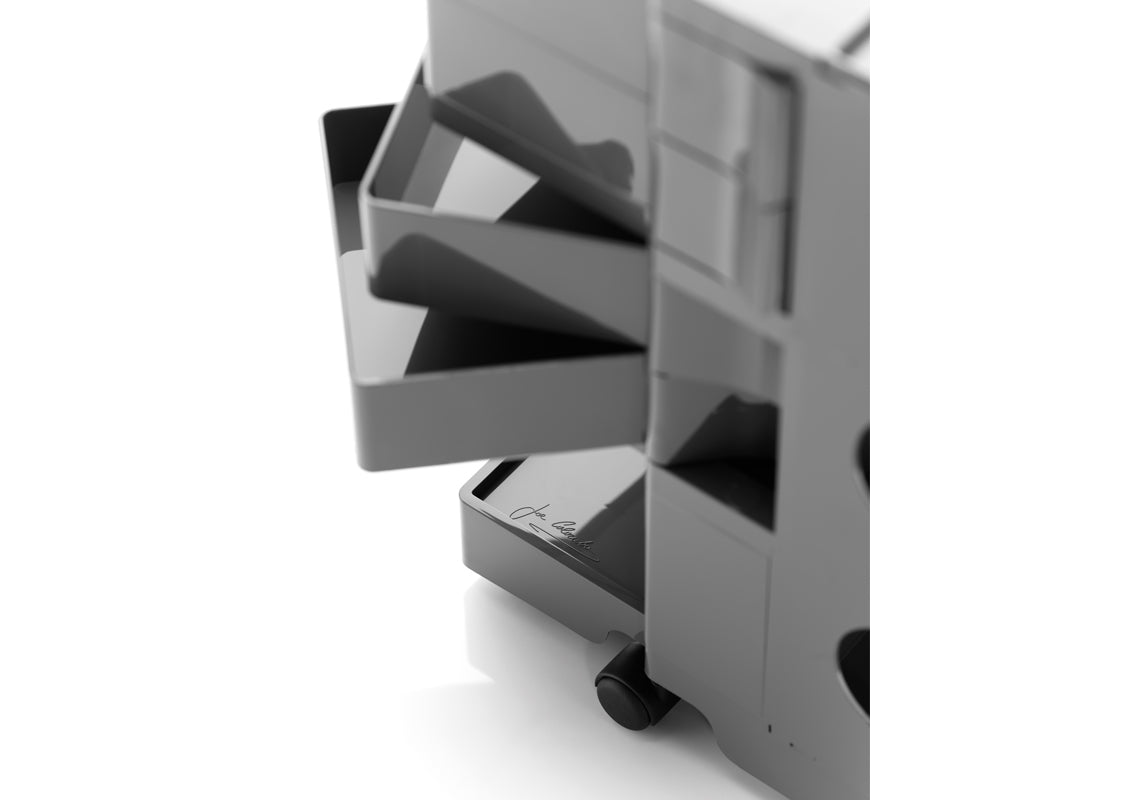 Boby Storage Container M