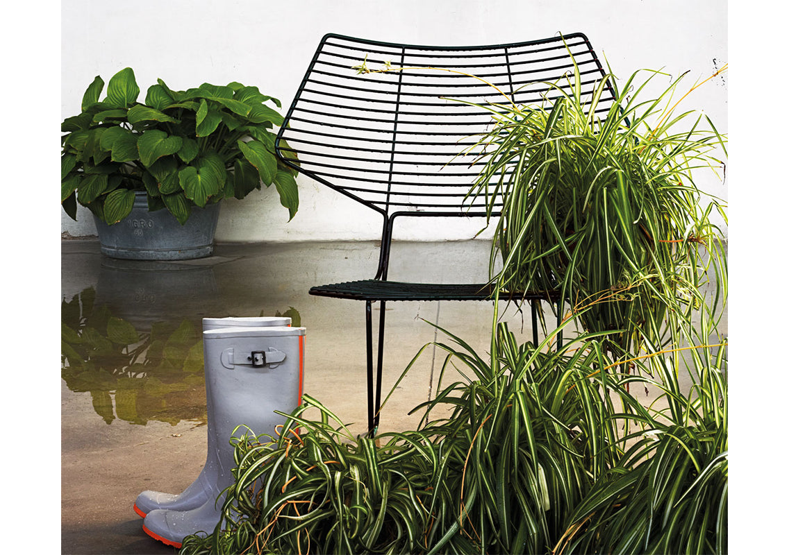 Alieno Peacock Chair