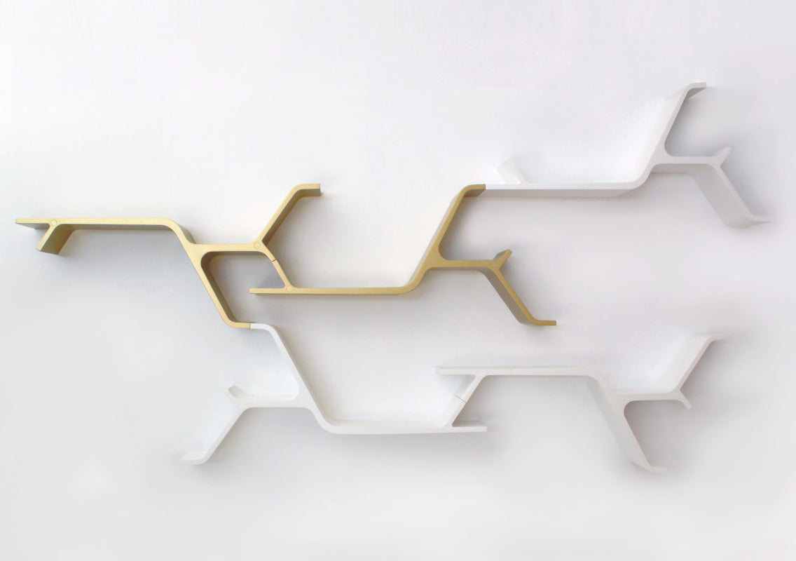 Sinapsi Wall-Mounted Bookcase