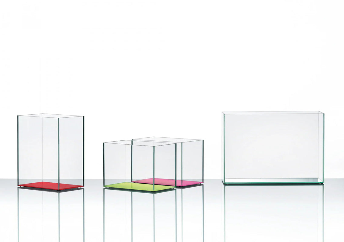 Vasi Vase
