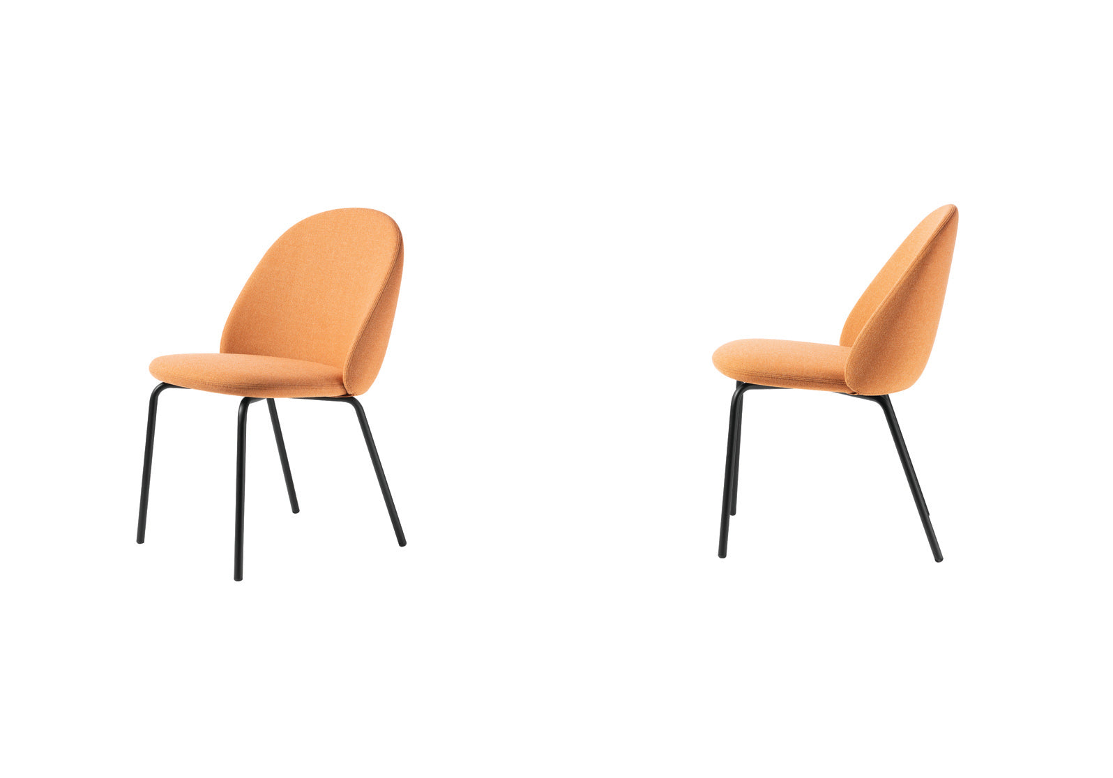 Iola Chair