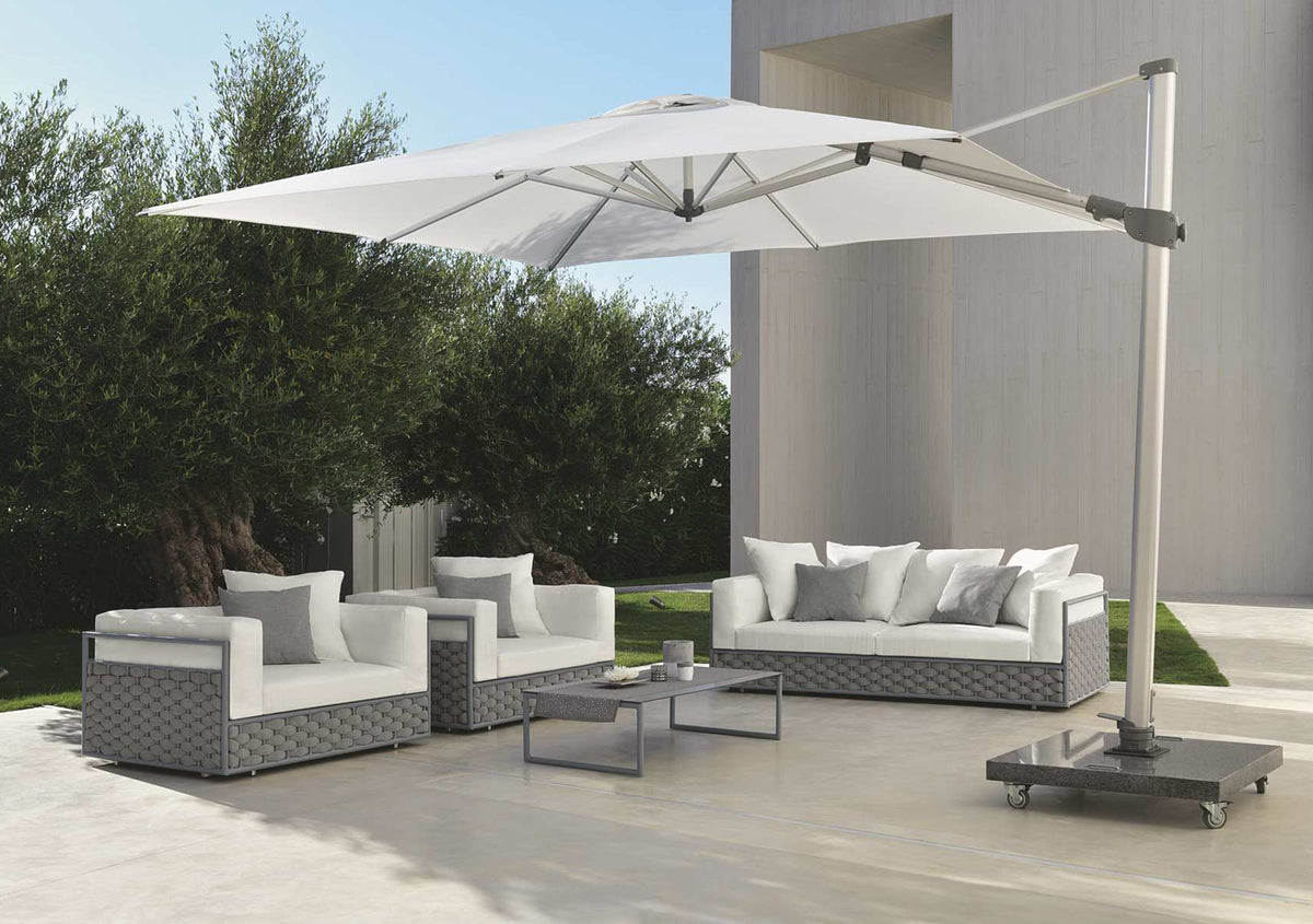 Parasol Venus