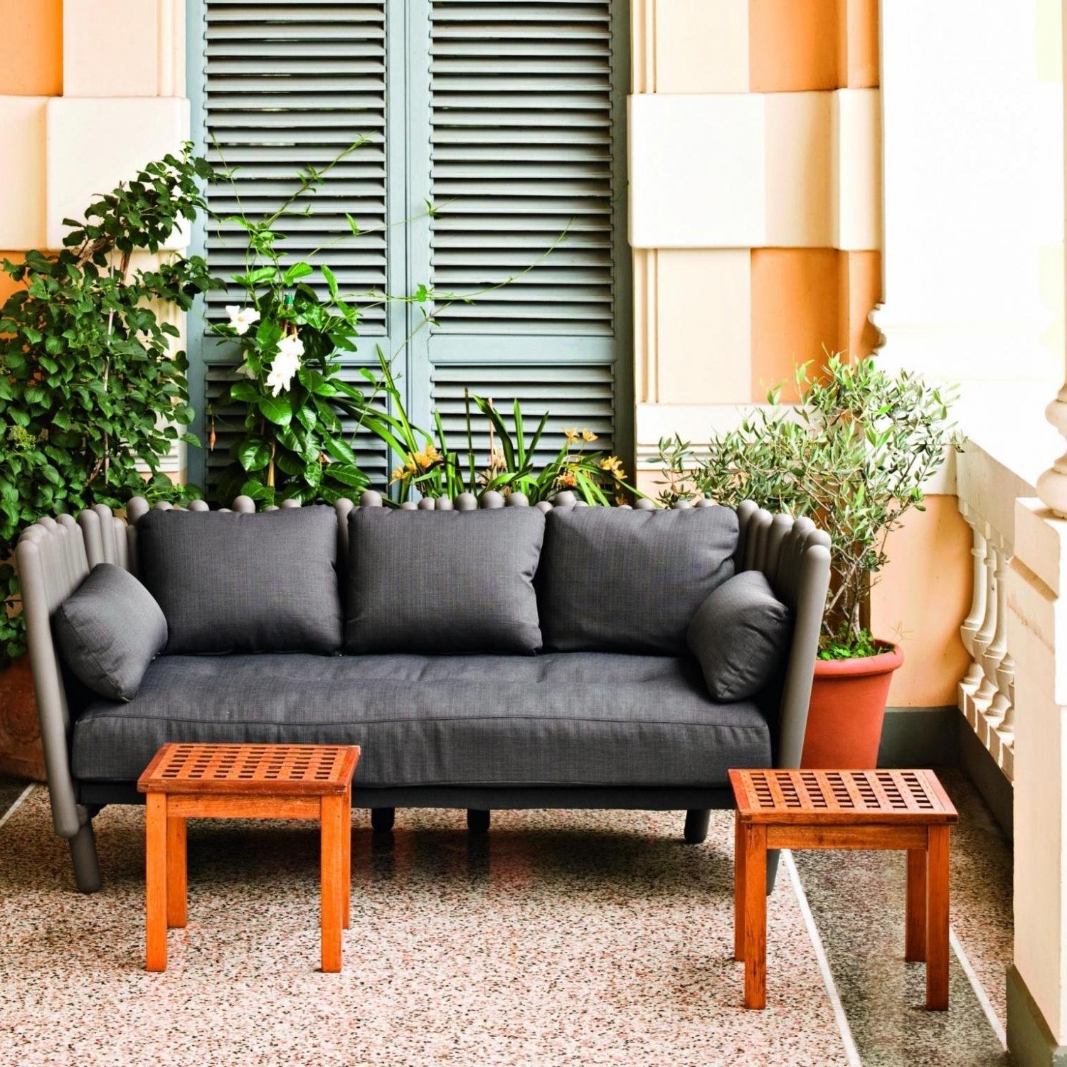 Canisse Armchair