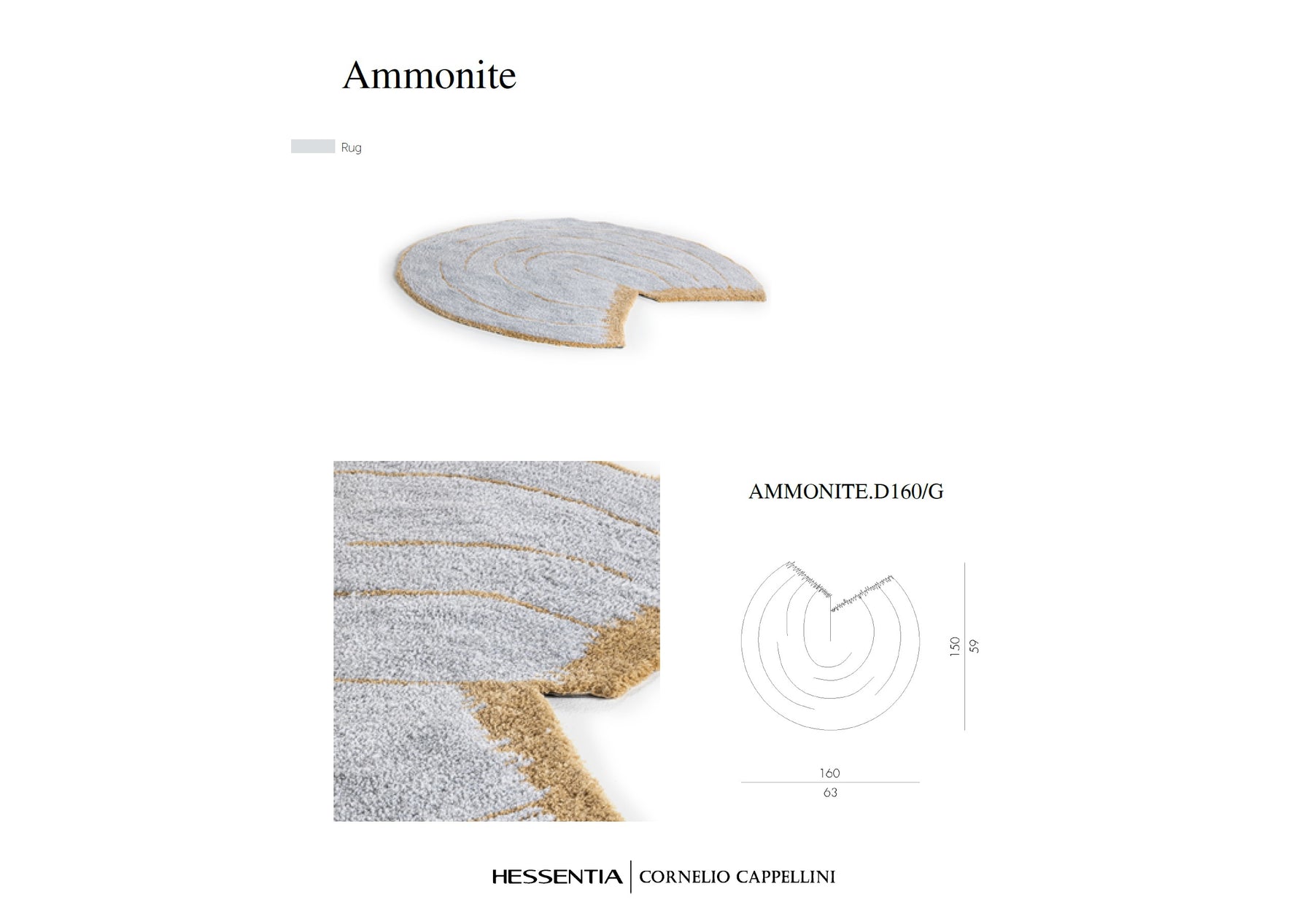 Ammonite (Floor Model) - NEW ARRIVAL