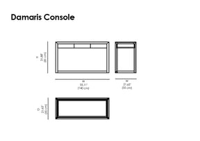 Damaris Console