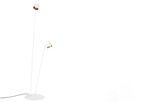 Speers F Adjustable Height Floor Lamp