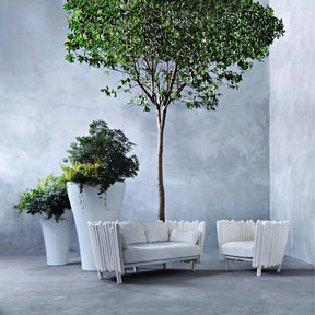 Canisse Armchair