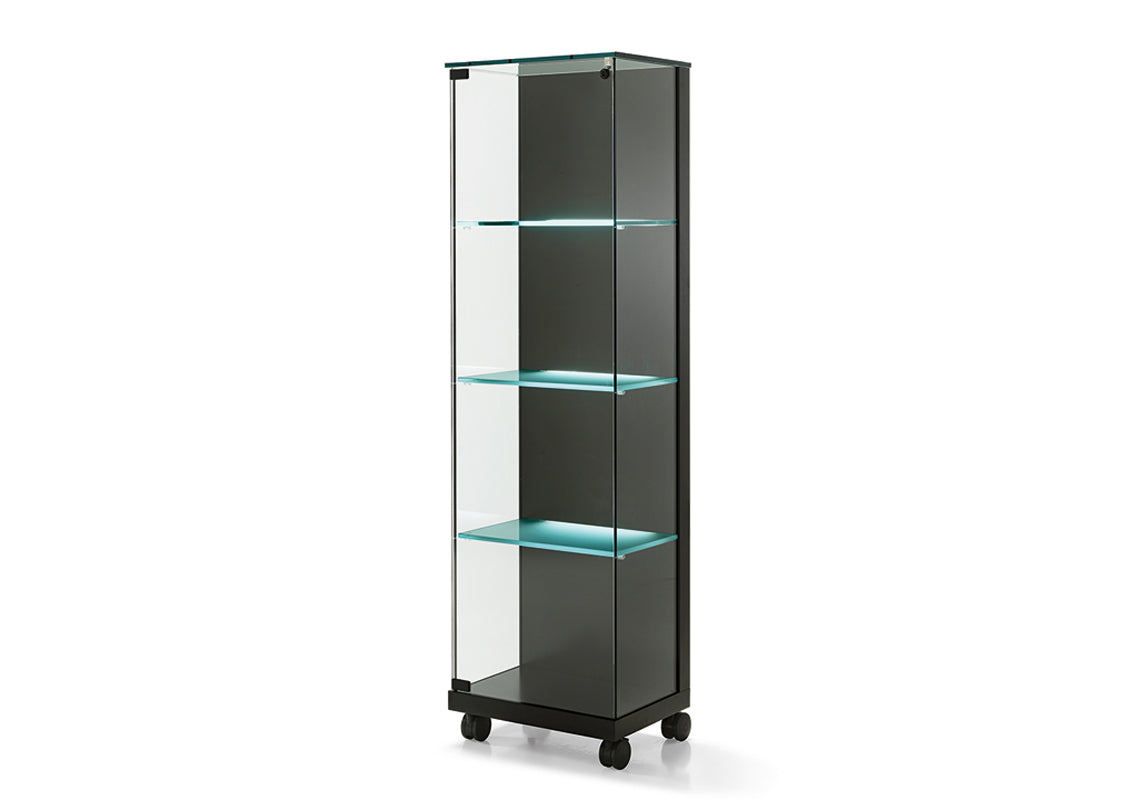 Medora Display Cabinet On Casters