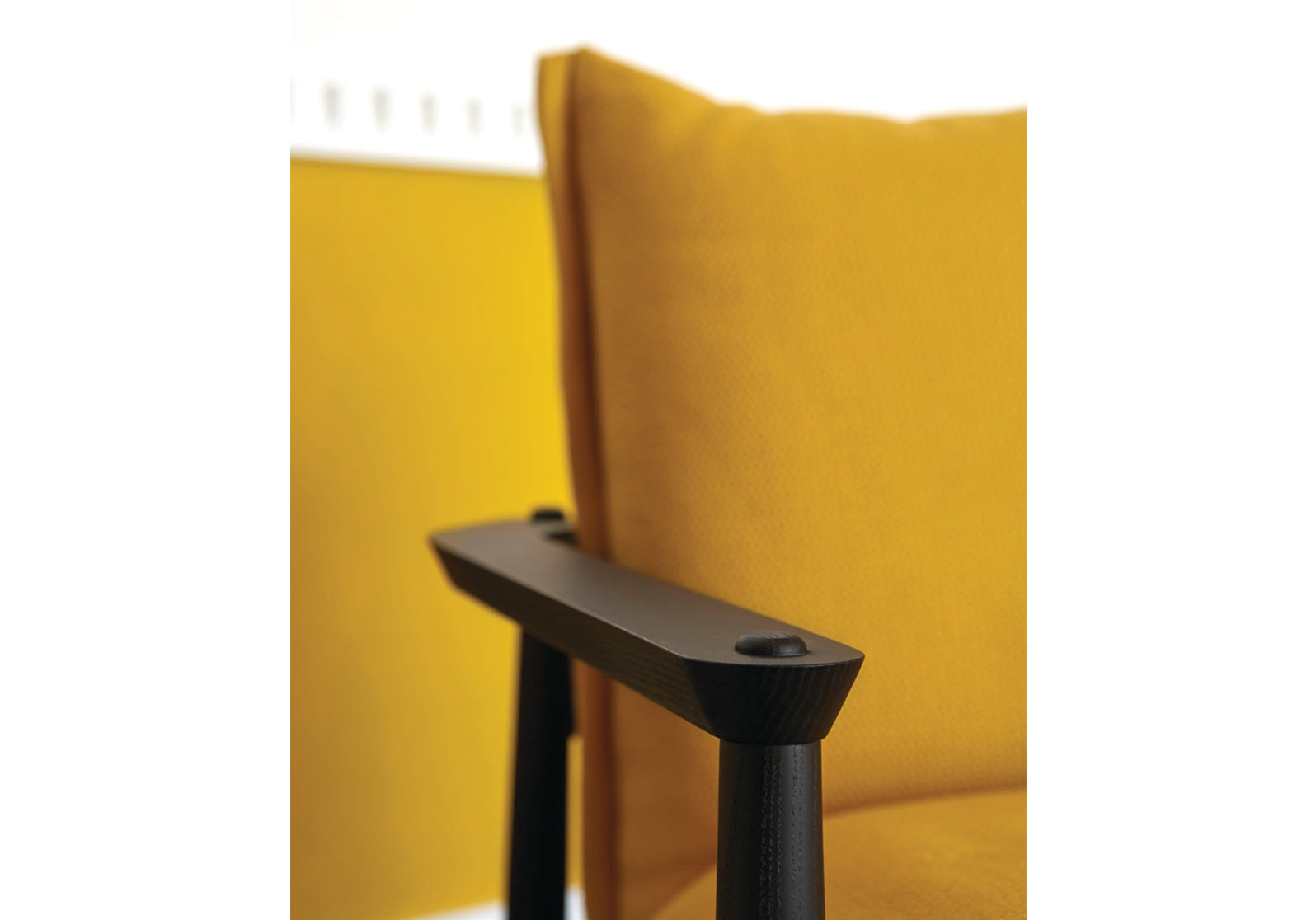 Sergia Armchair