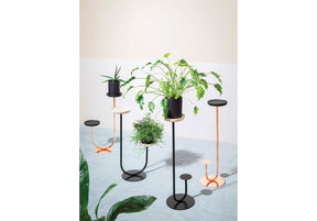 Cigales Plant Stand