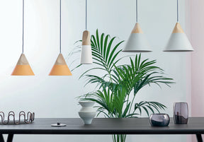 Slope Suspended Lamp