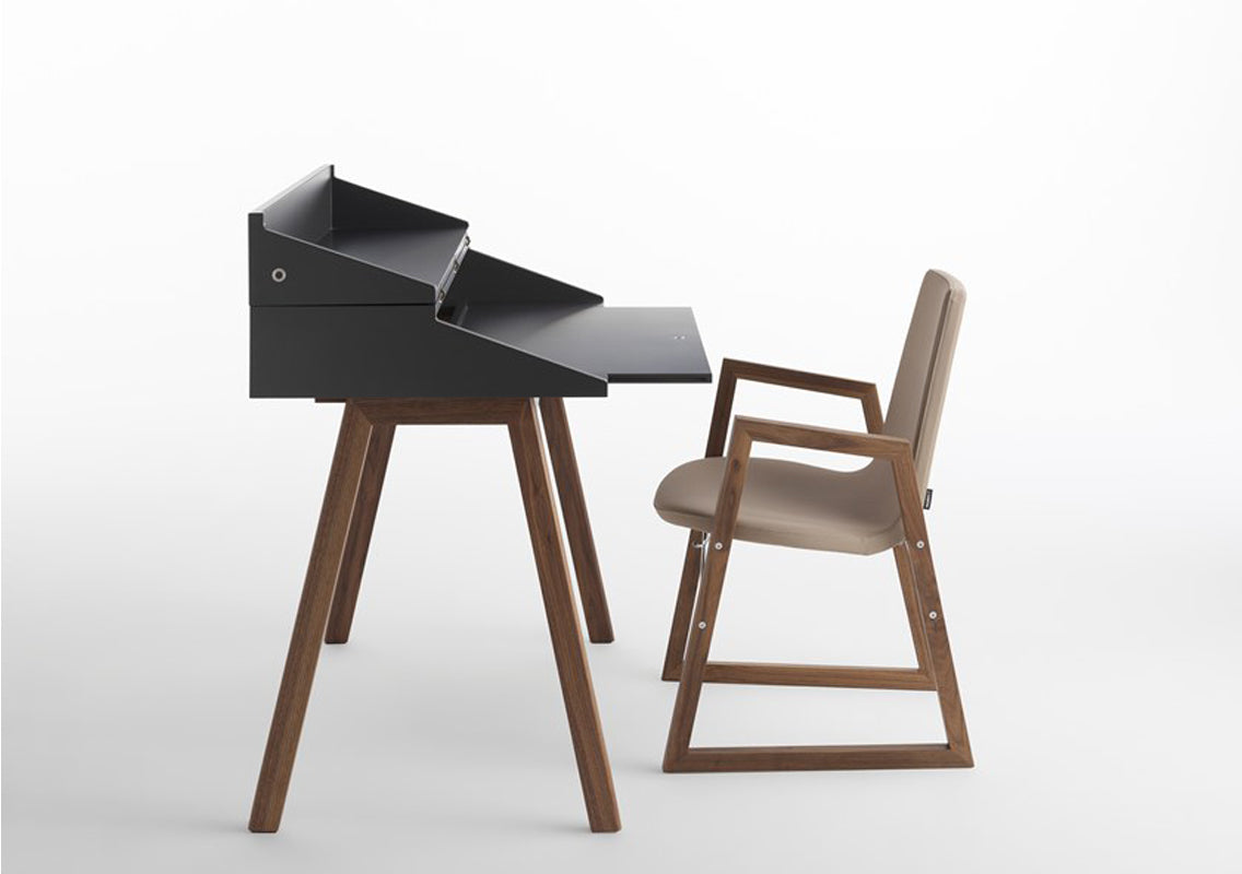 Ray Sled Base Chair With Armrests