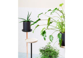 Cigales Plant Stand