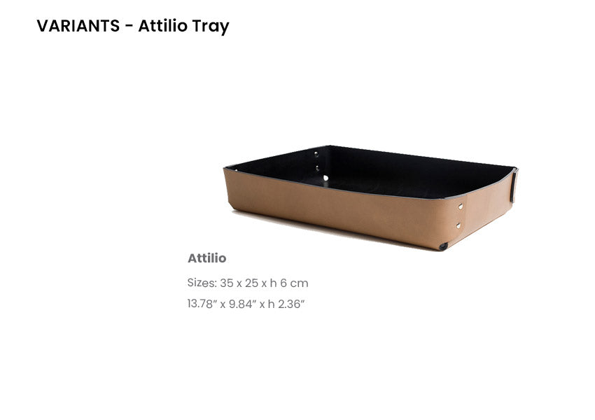 Attilio Tray