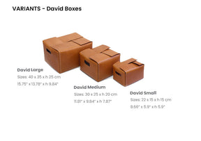 David Boxes