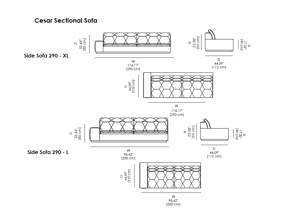 Cesar Sectional Sofa