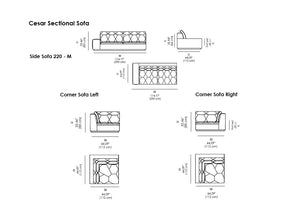 Cesar Sectional Sofa